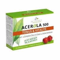 Slika 3 Chenes acerola 500 mg, 24 žvečljivih tablet
